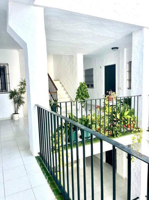Appartement El Gato Gris à Conil De La Frontera Extérieur photo
